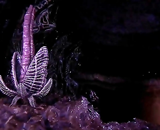 Lust from Beyond Part 4: Revealing the Ultimate Allure of Enchantresses