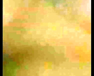 Fucking a College Cutie: Banging Hottie with Big Juicy Meat